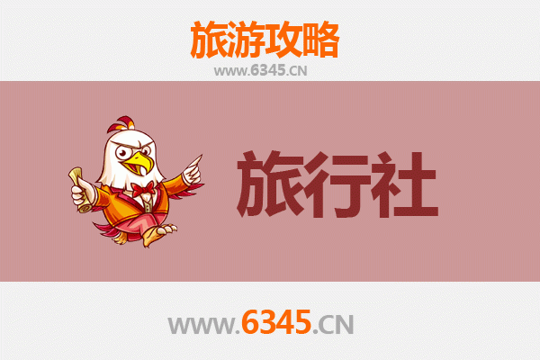 塔城额敏本地旅行社推荐：精选服务与深度游玩攻略